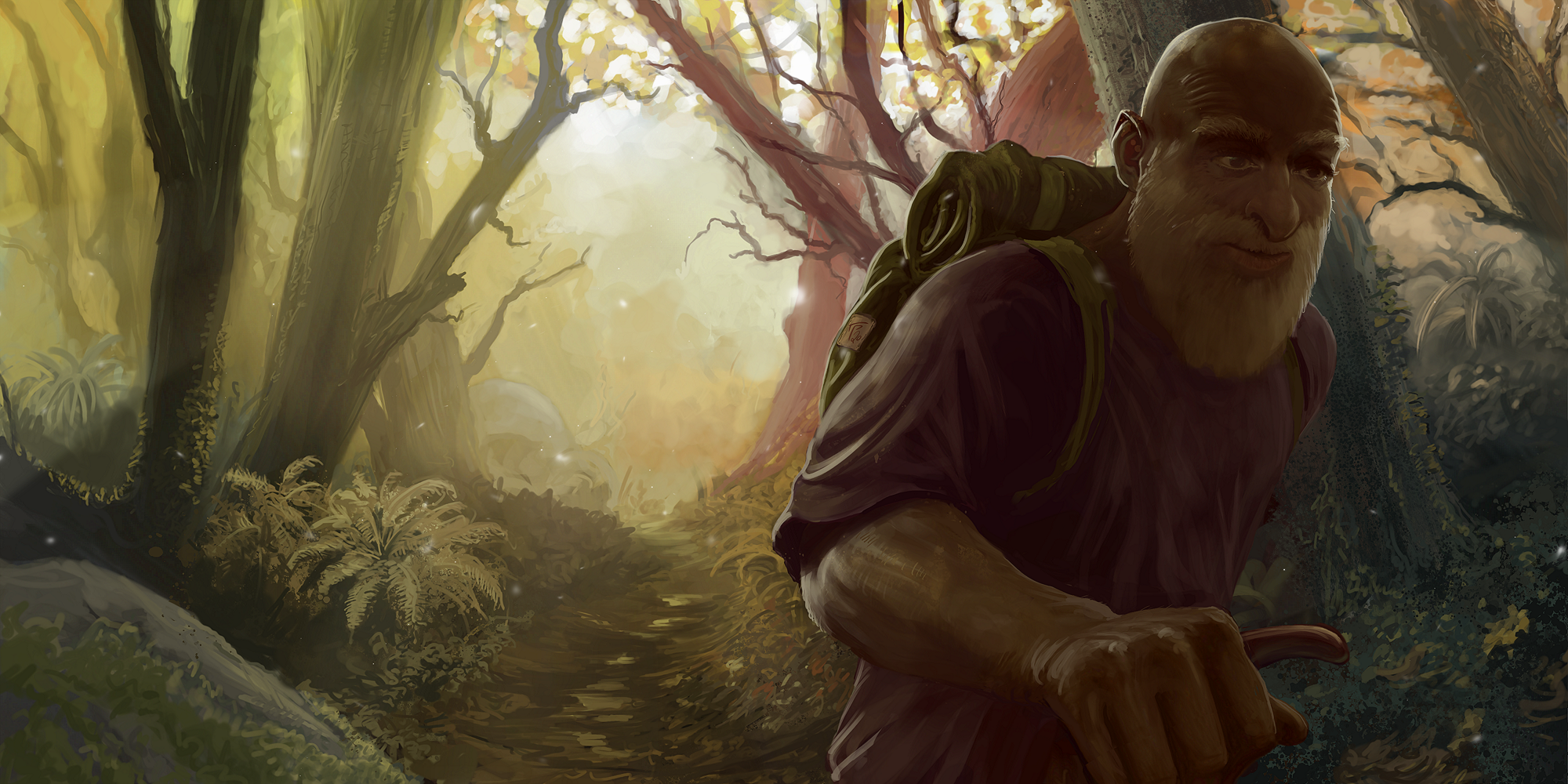 Forest Hike